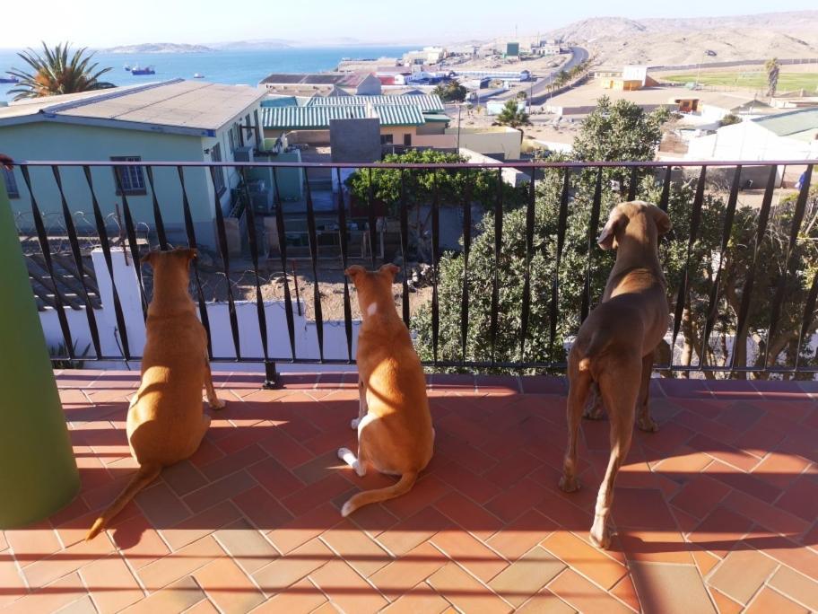 Zur Waterkant Guesthouse Lüderitz Εξωτερικό φωτογραφία